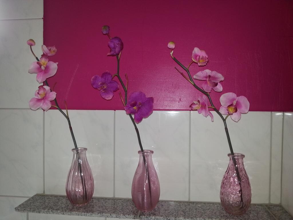 Ferienwohnung Grimmer ไวล์อัมไรน์ ภายนอก รูปภาพ